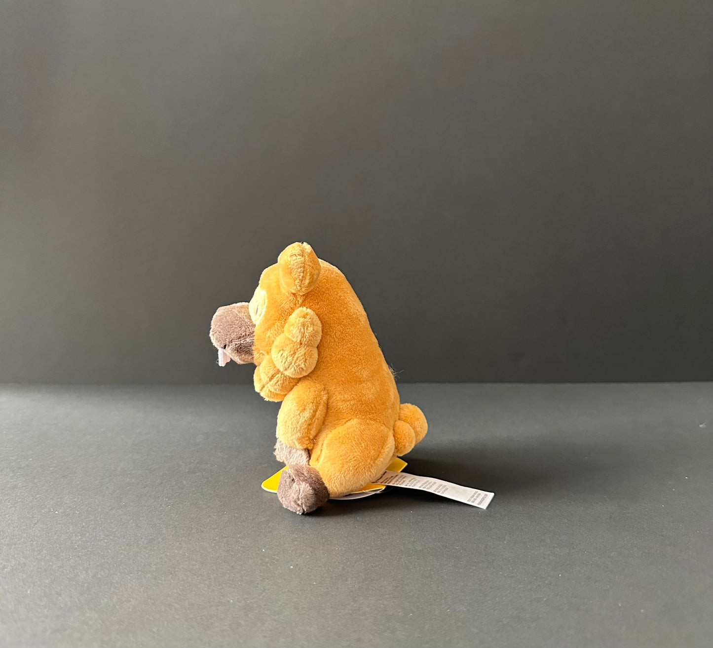 Bidoof (Pokemon Fit)