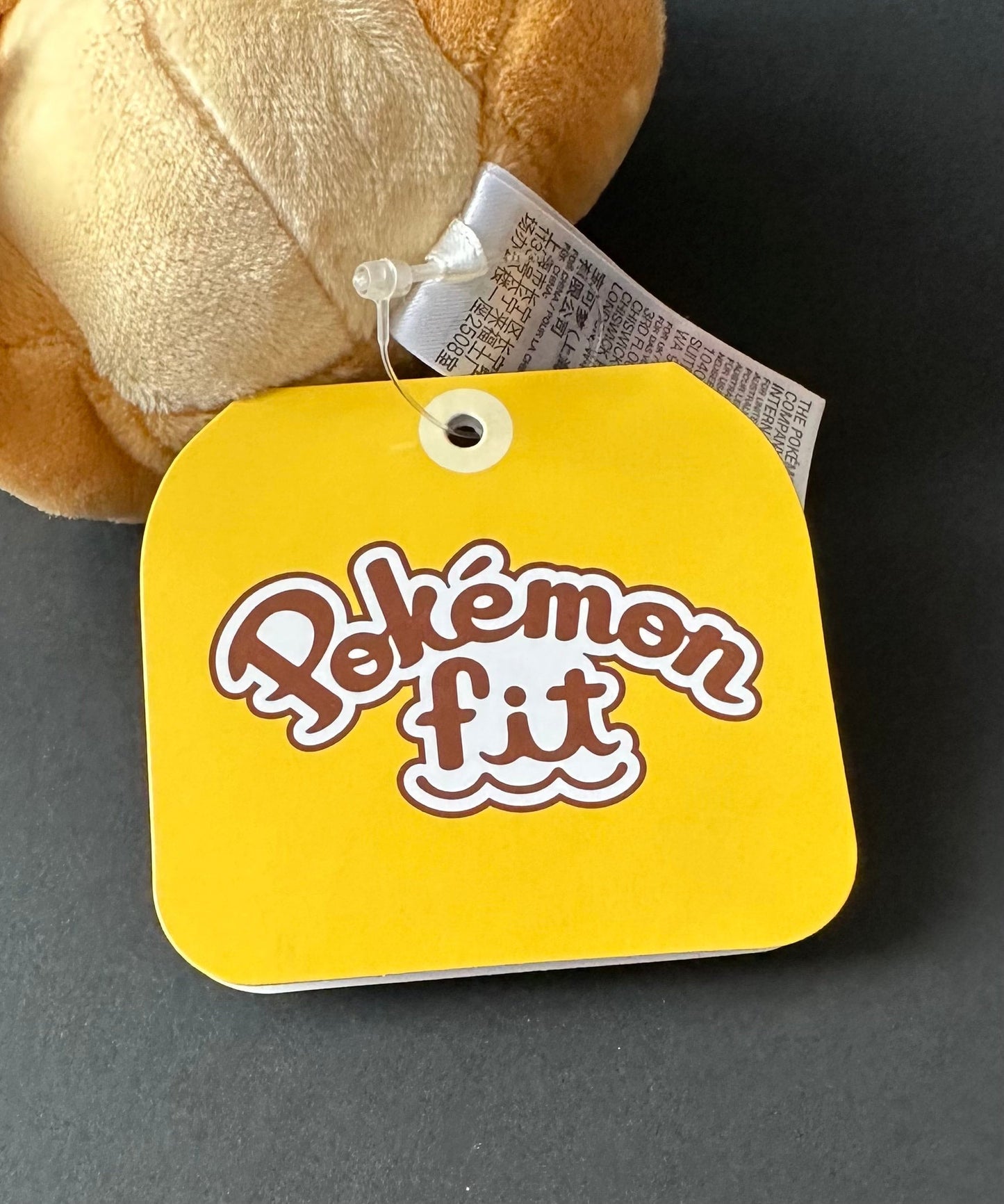 Bidoof (Pokemon Fit)