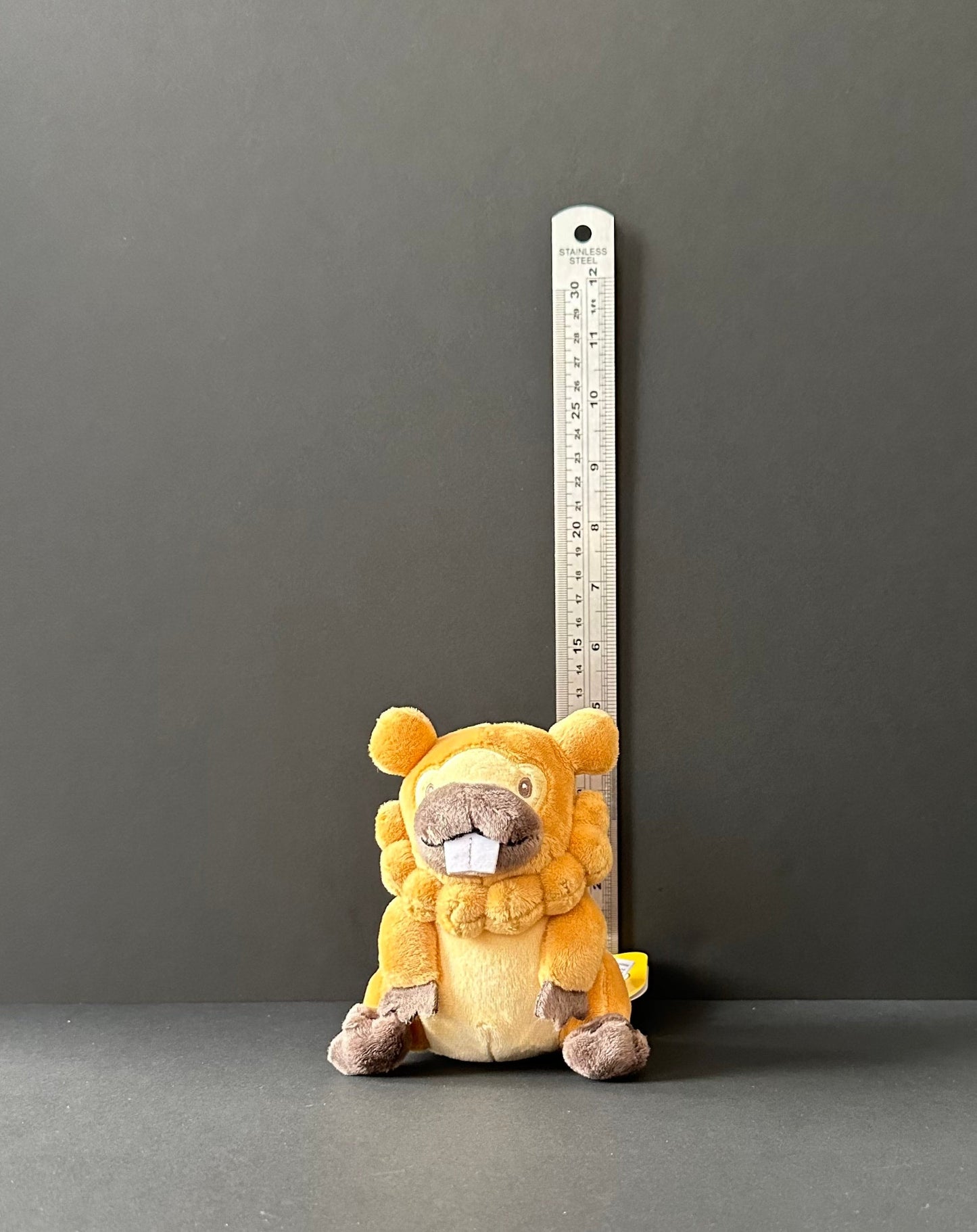 Bidoof (Pokemon Fit)