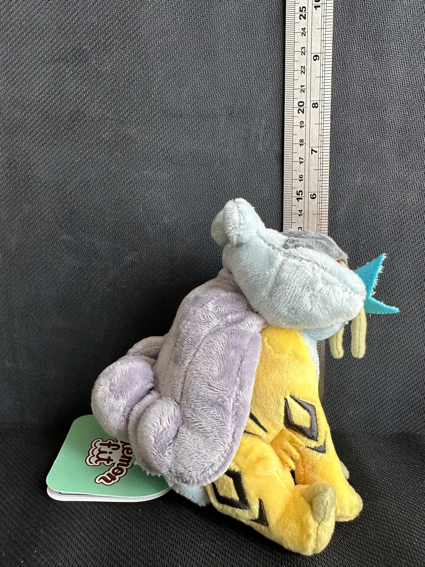 Raikou (Pokemon Fit)