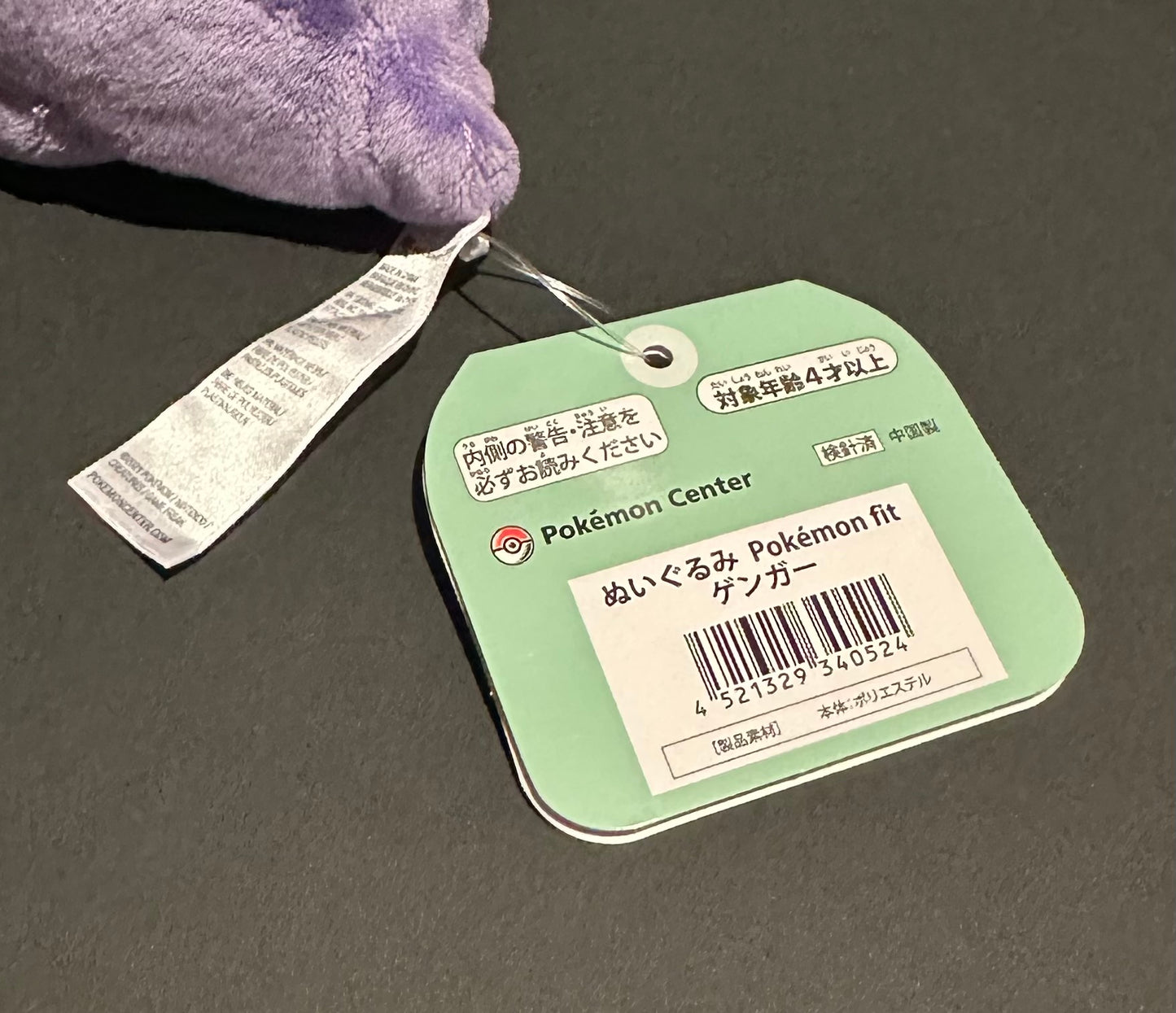 Gengar (Pokemon Fit)