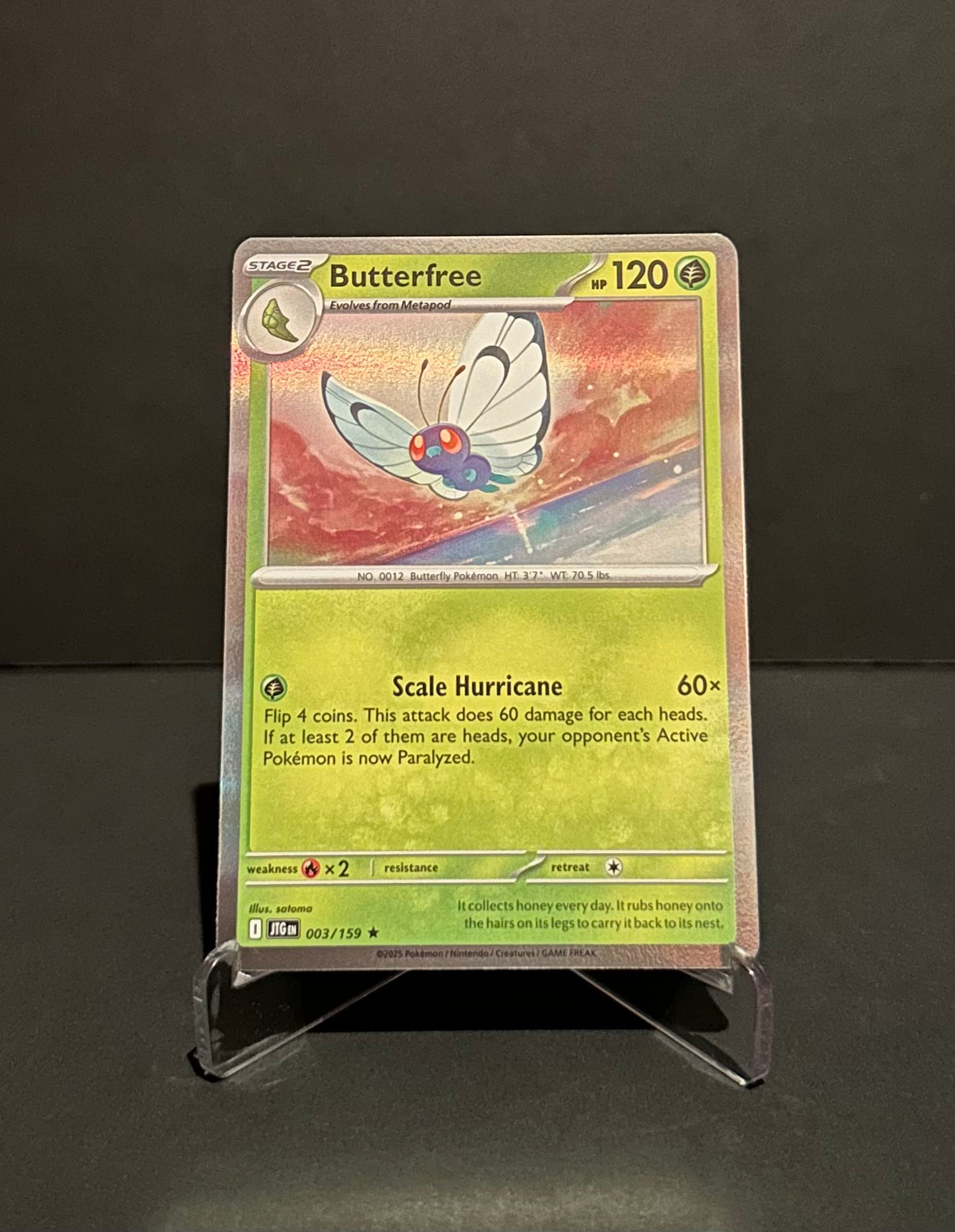 TCG Single: Butterfree - Journey Together