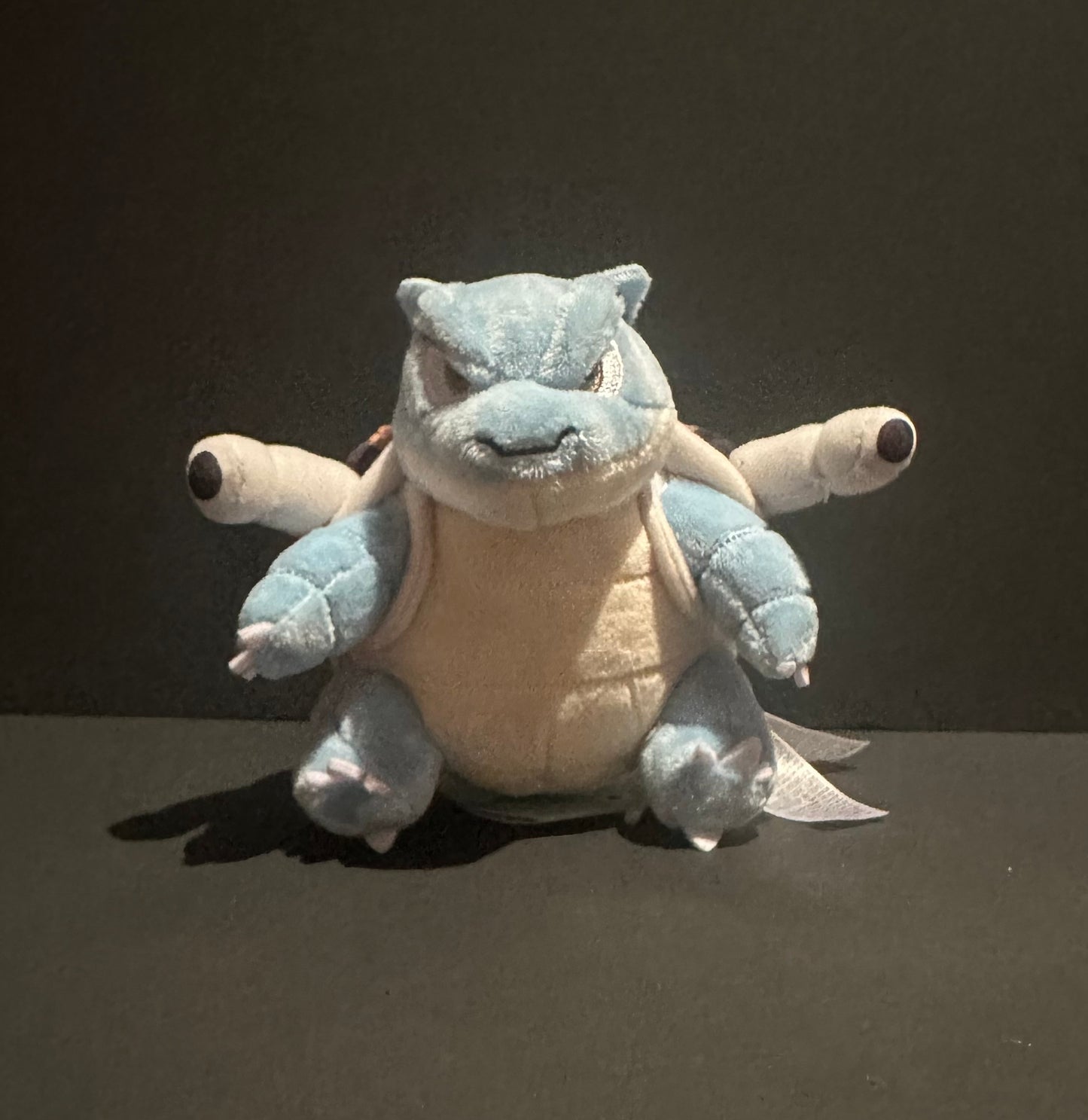 Blastoise (Pokemon Fit)