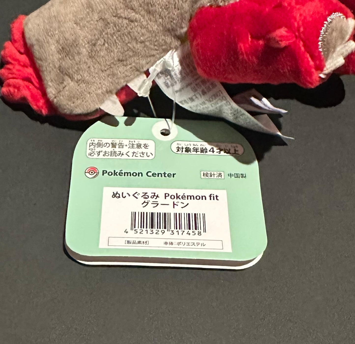 Groudon (Pokemon Fit)