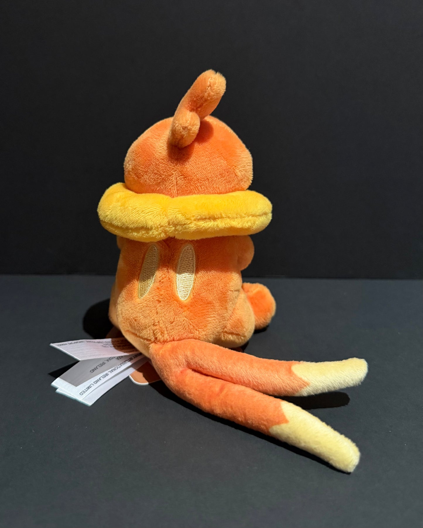Buizel (Pokemon Fit)