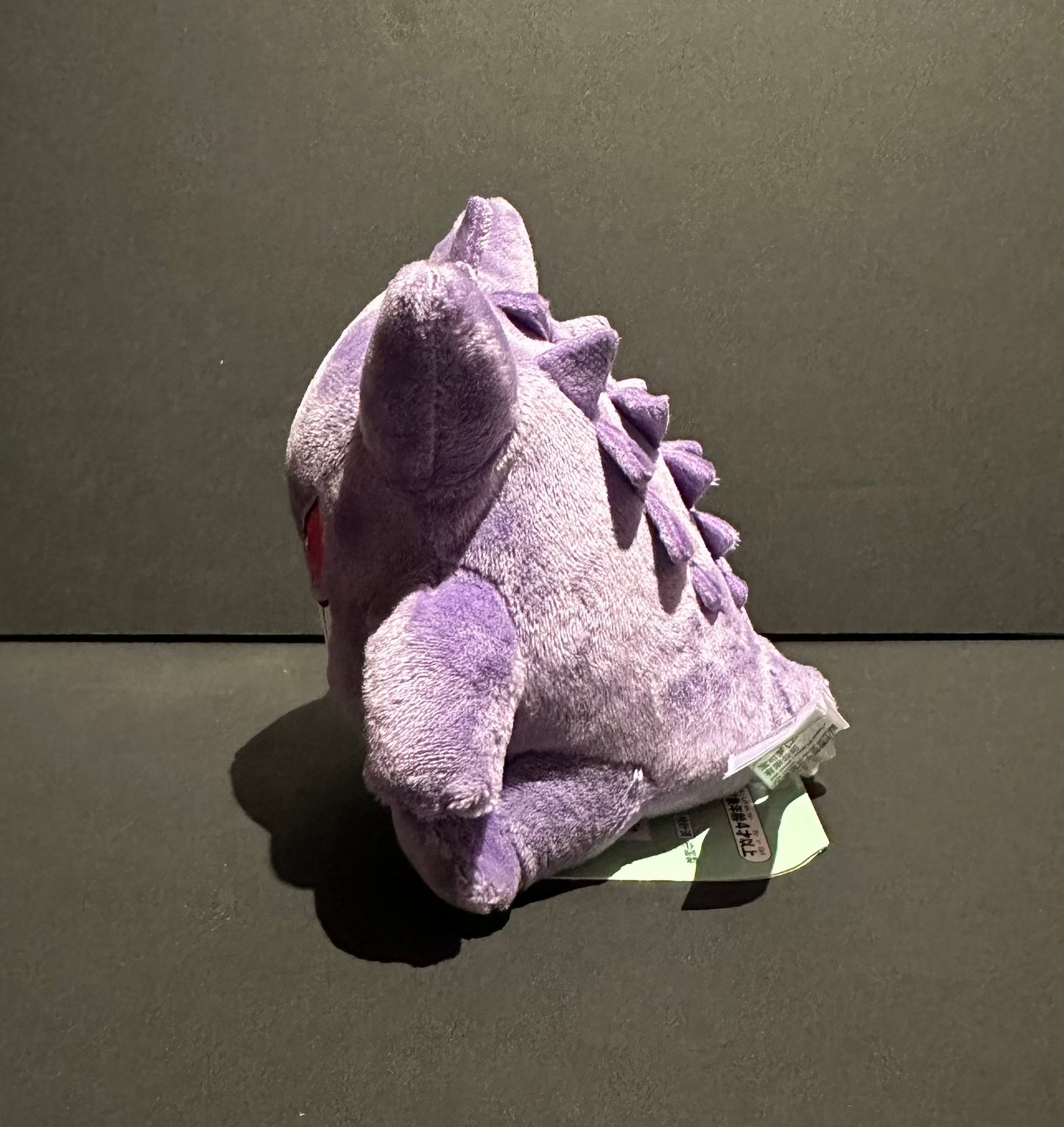 Gengar (Pokemon Fit)