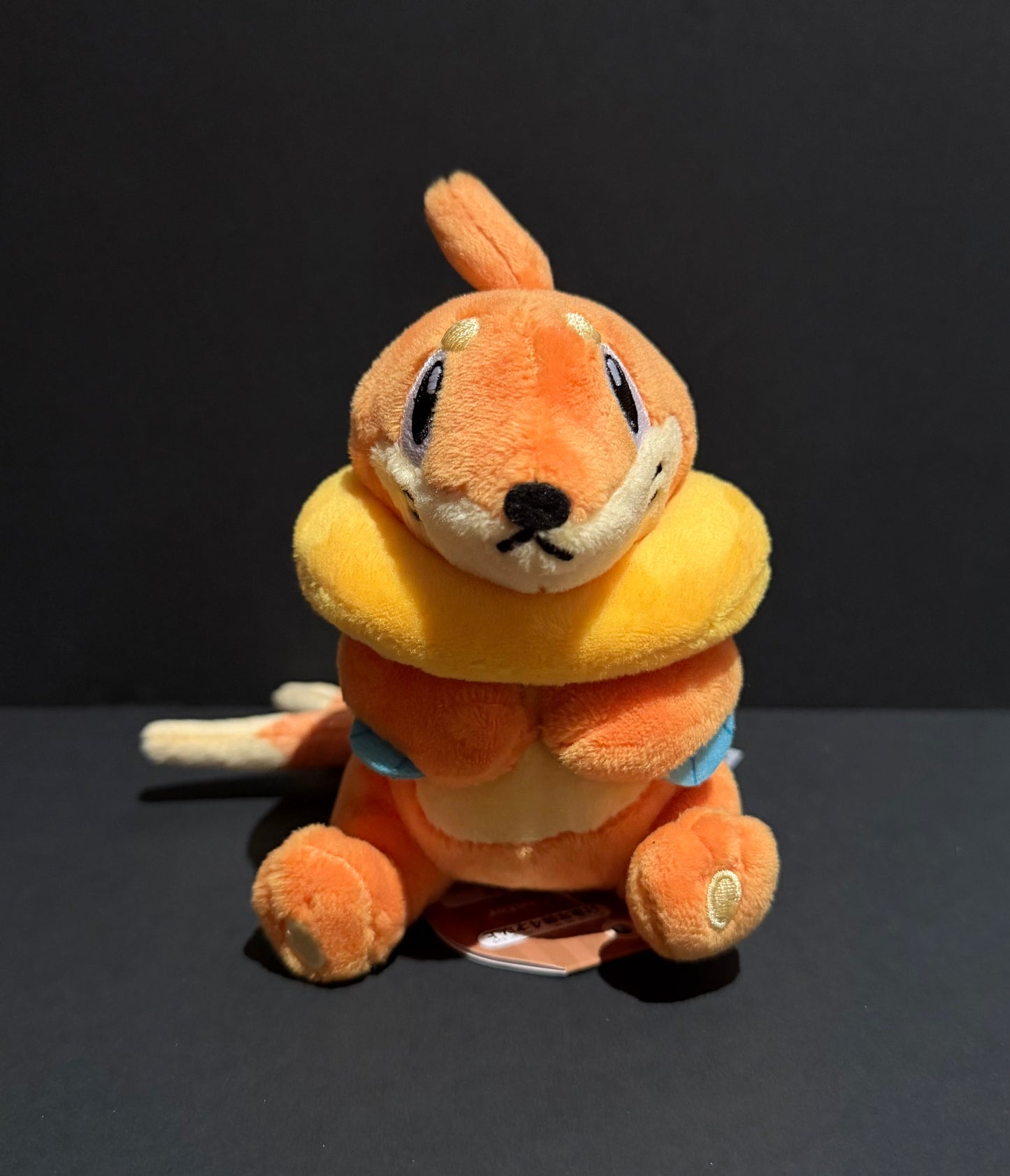 Buizel (Pokemon Fit)