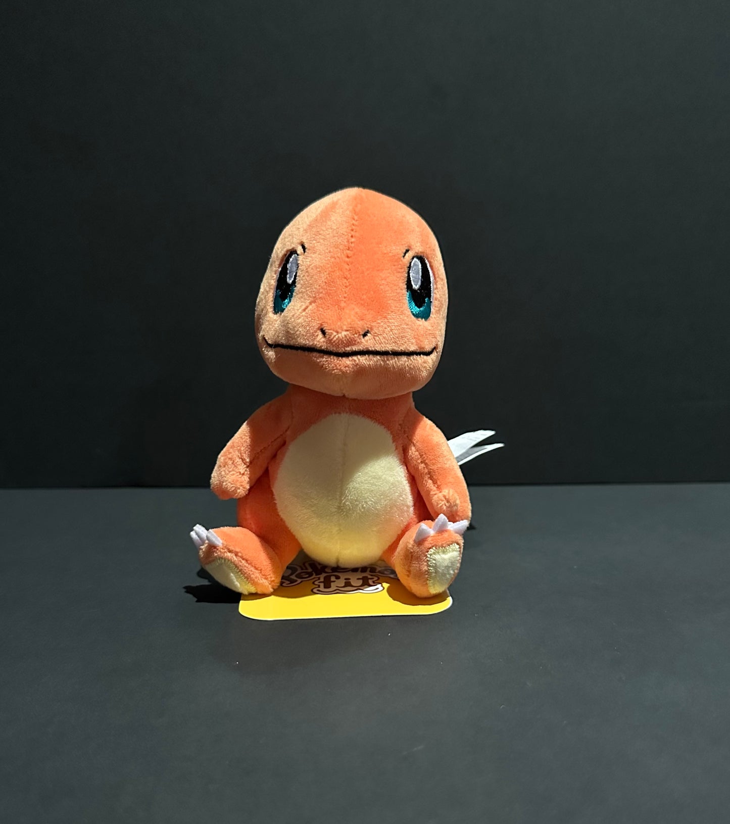 Charmander (Pokemon Fit)