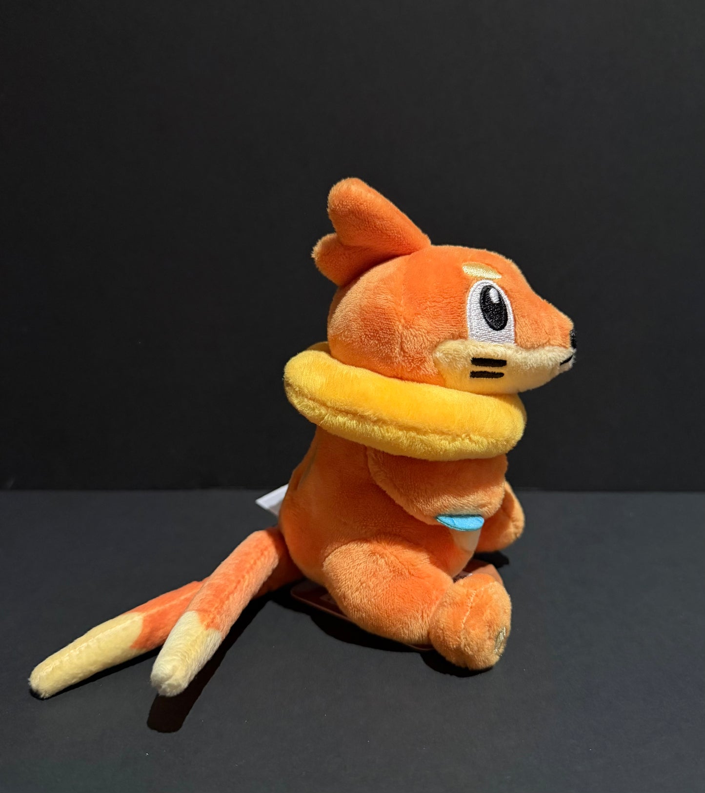 Buizel (Pokemon Fit)