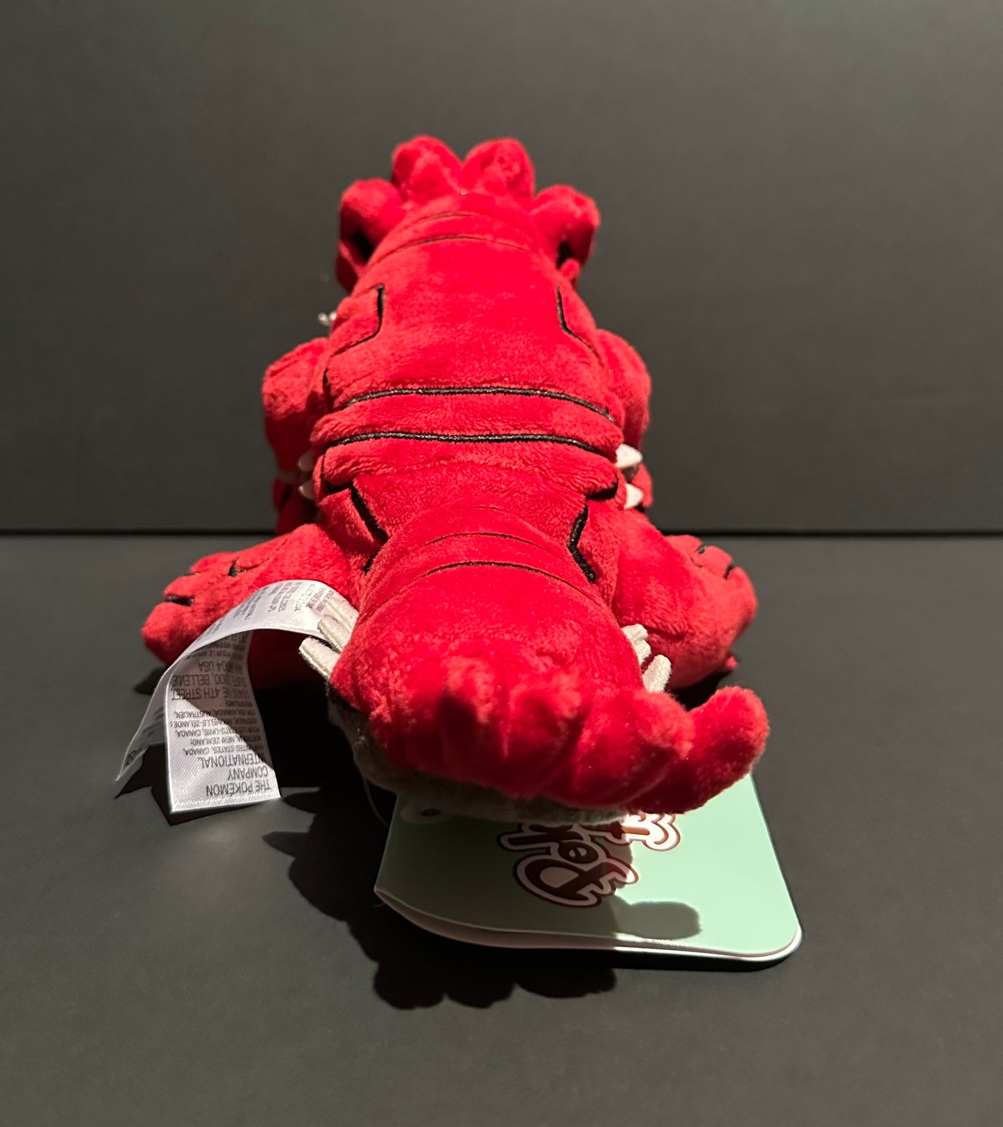 Groudon (Pokemon Fit)