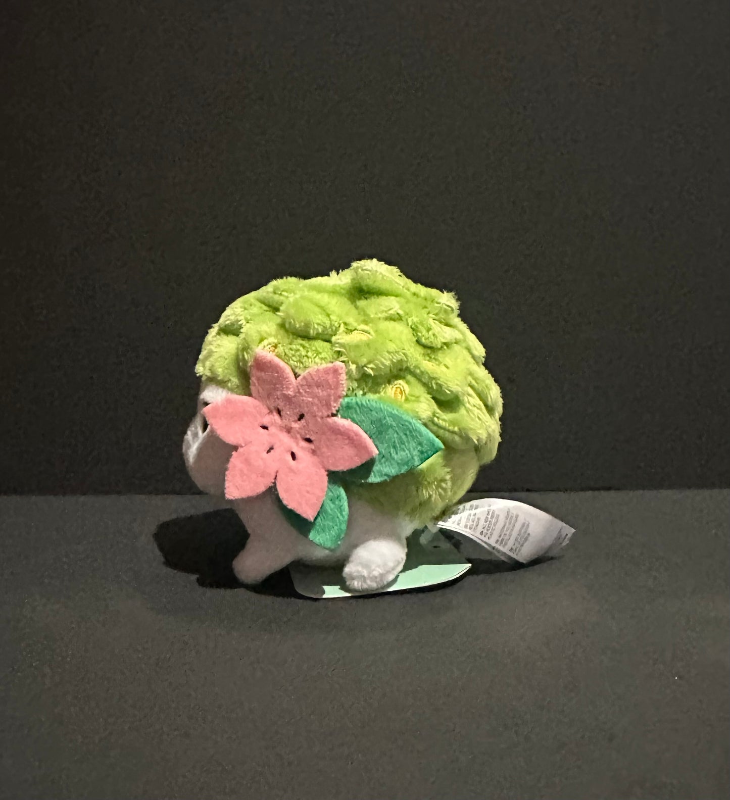 Shaymin [Land Forme] (Pokemon Fit)