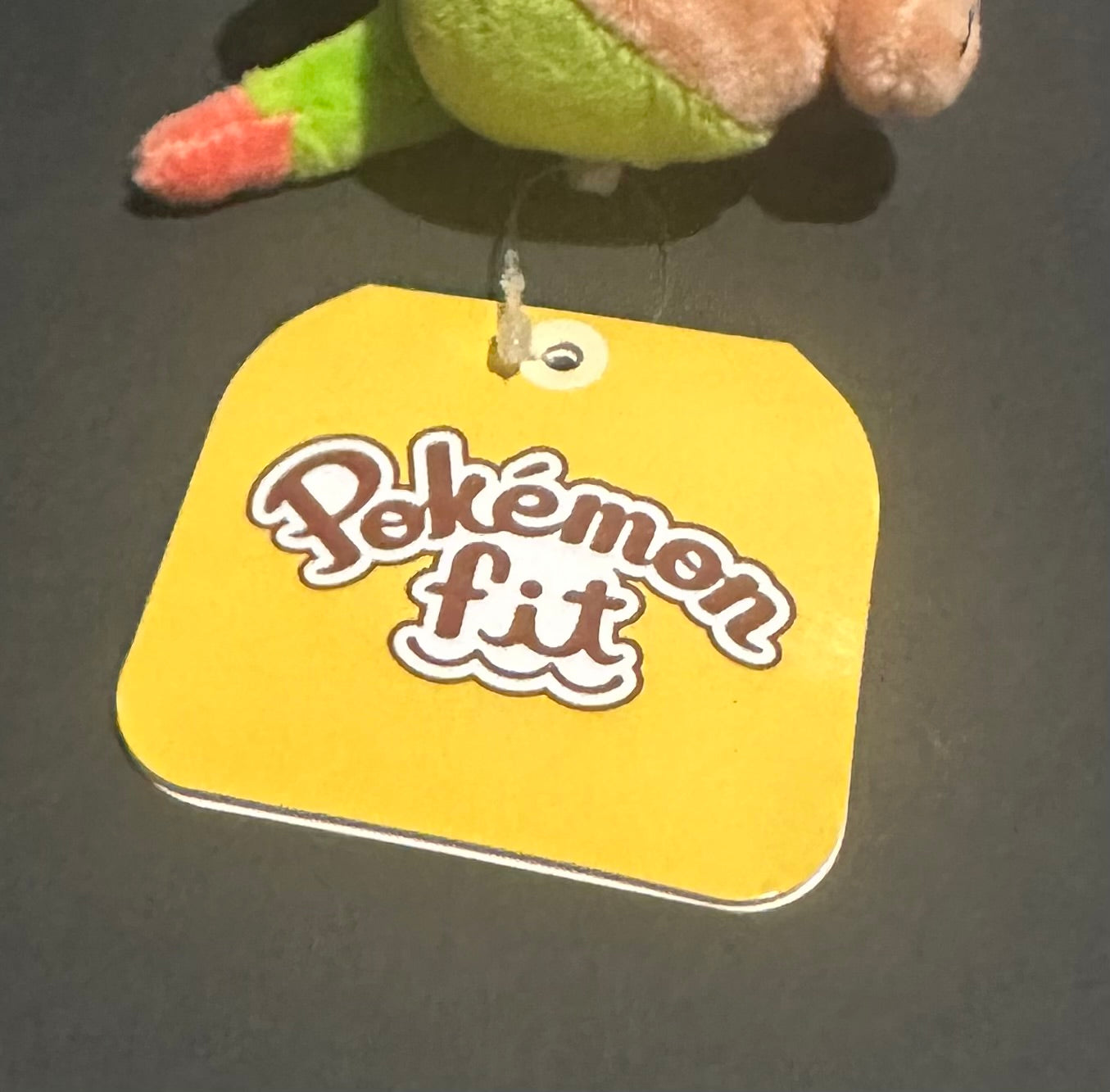 Chespin (Pokemon Fit)