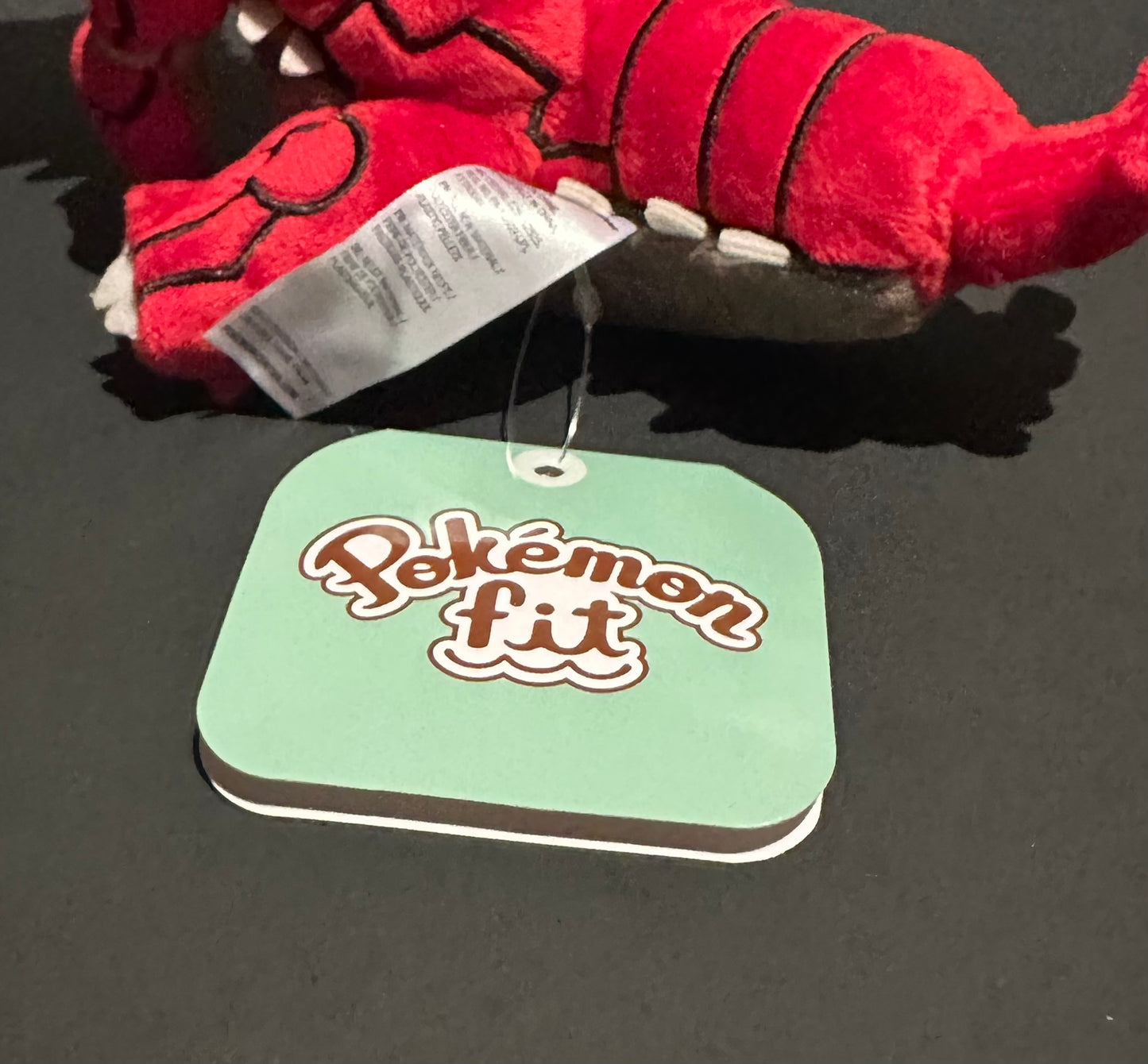 Groudon (Pokemon Fit)