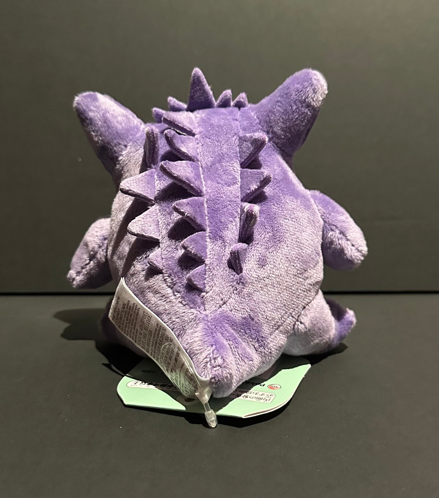 Gengar (Pokemon Fit)