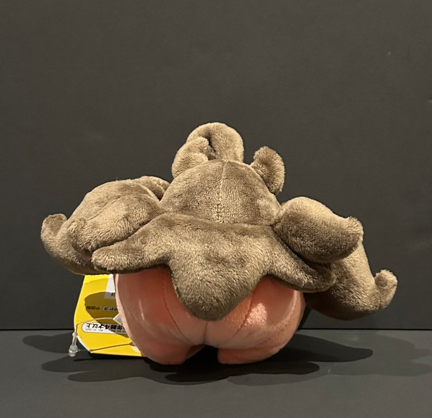 Pumpkaboo (Pokemon Fit)