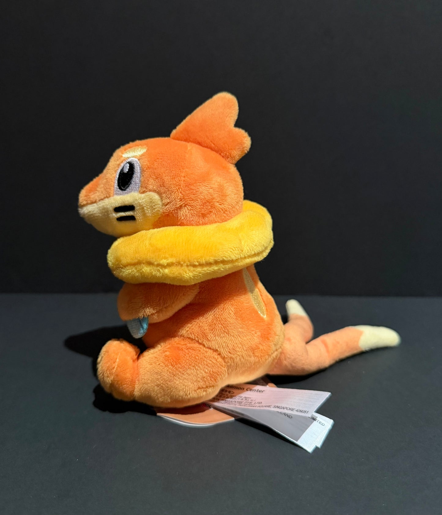 Buizel (Pokemon Fit)
