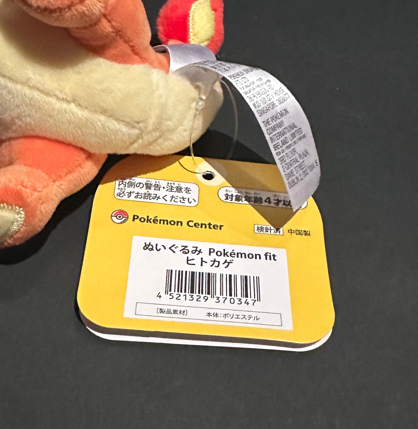 Charmander (Pokemon Fit)