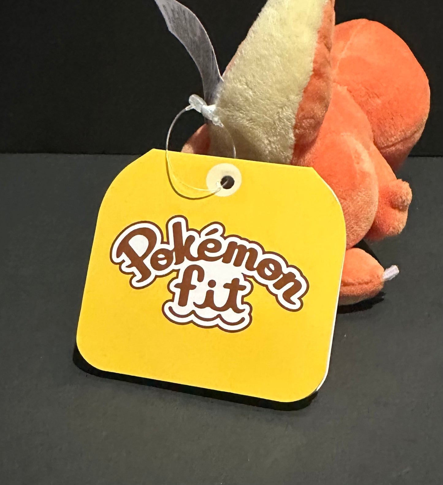 Charmander (Pokemon Fit)