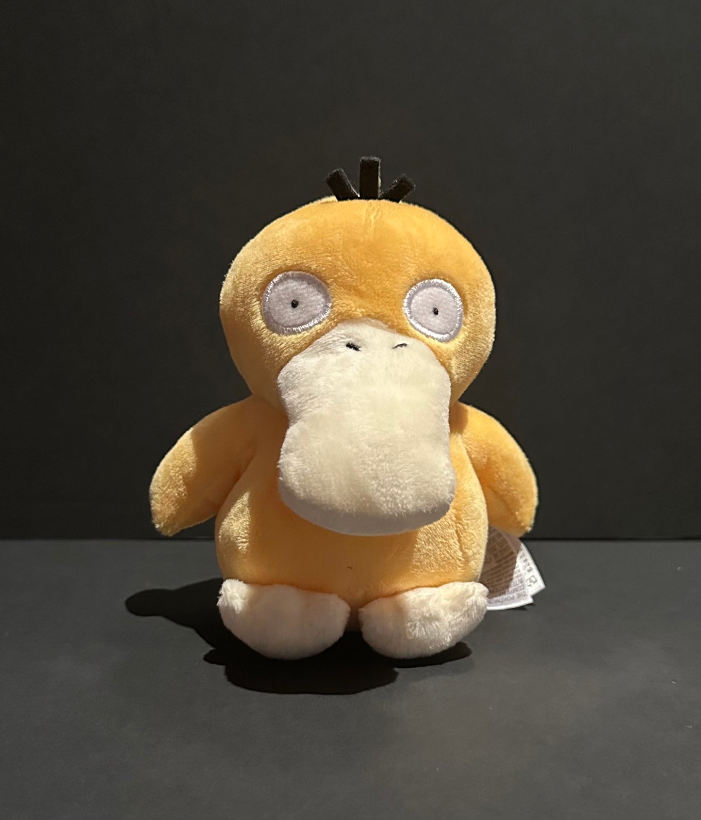 Psyduck (Pokemon Fit)