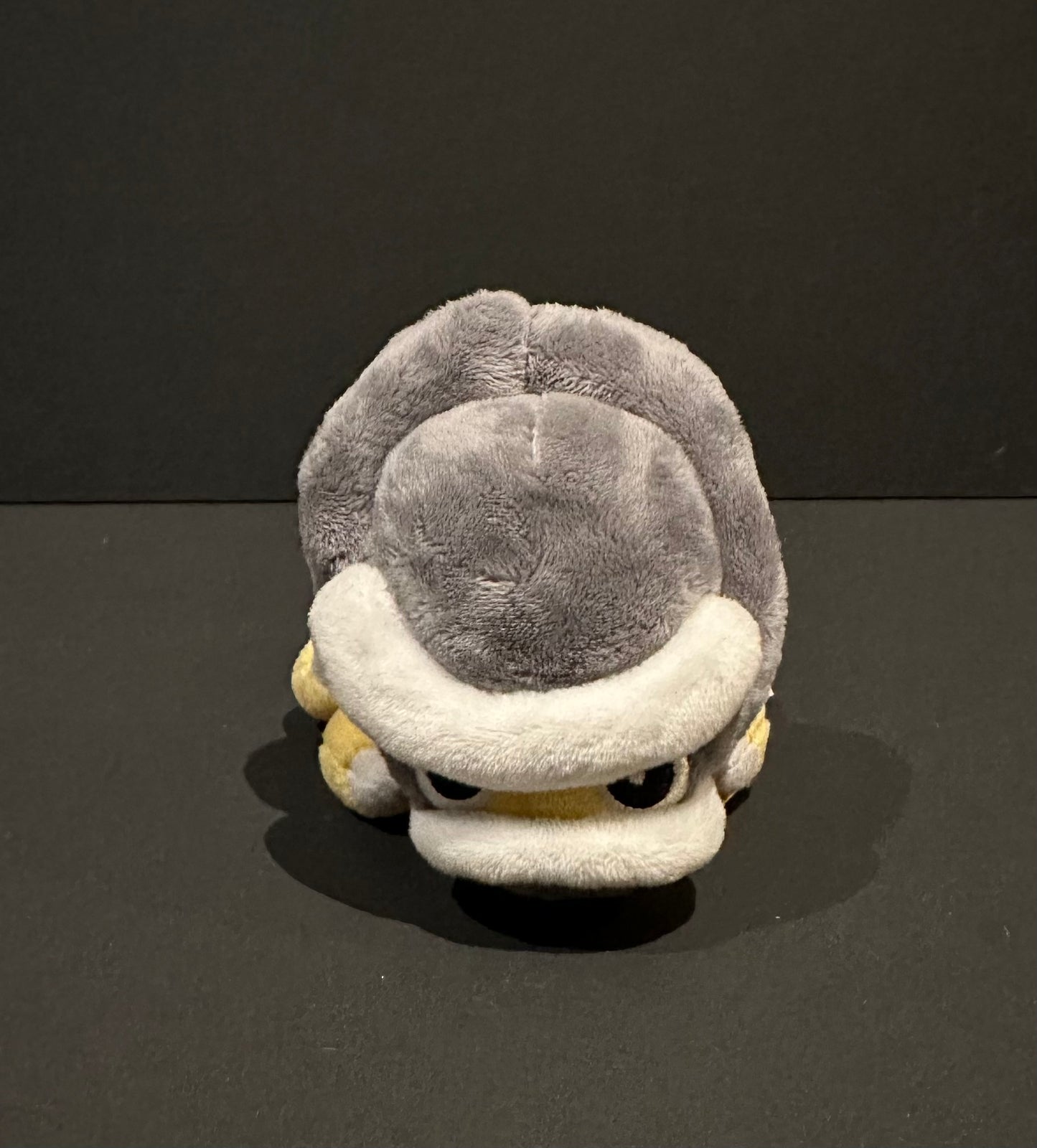 Shieldon (Pokemon Fit)