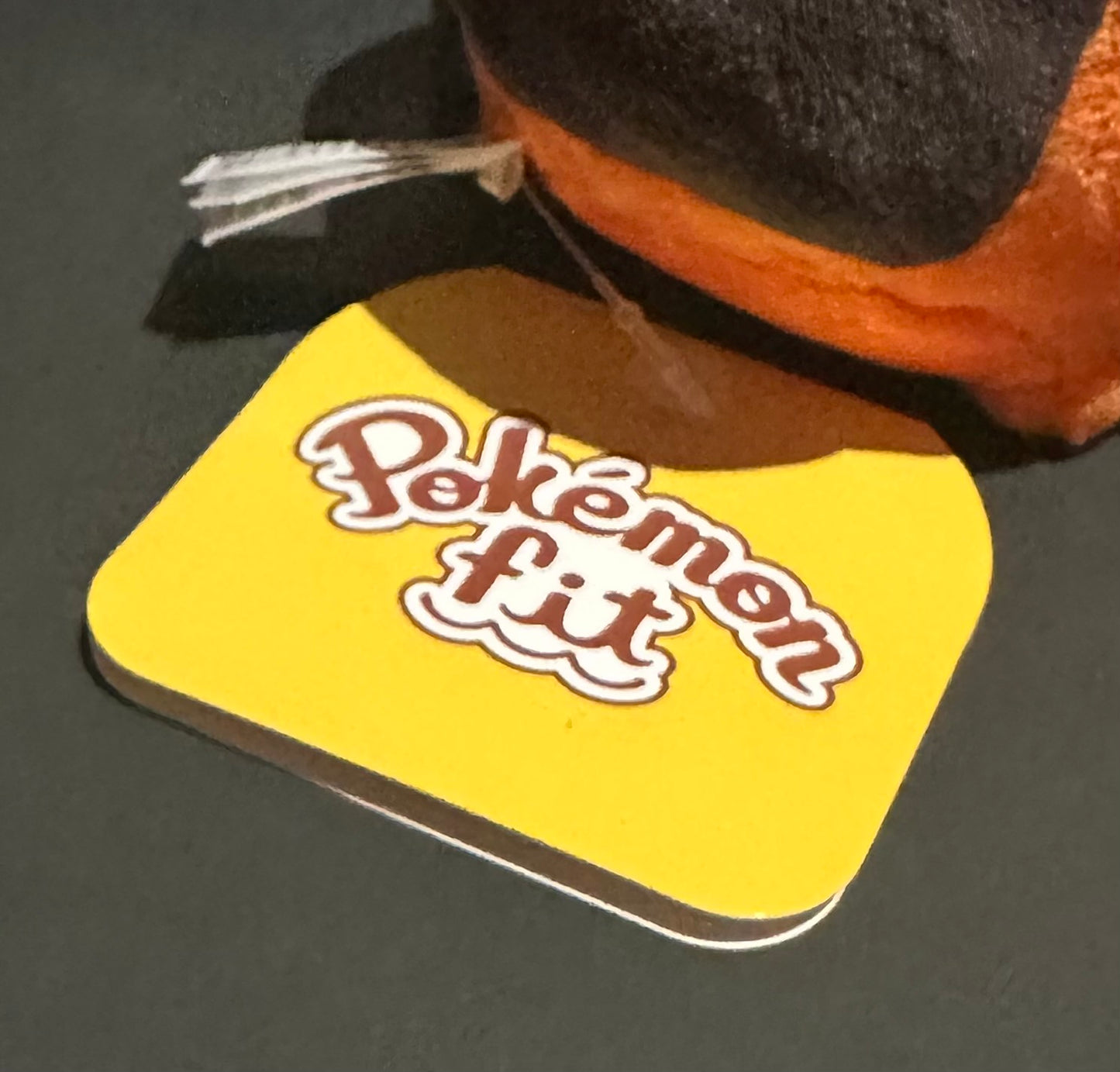 Wash Rotom (Pokemon Fit)