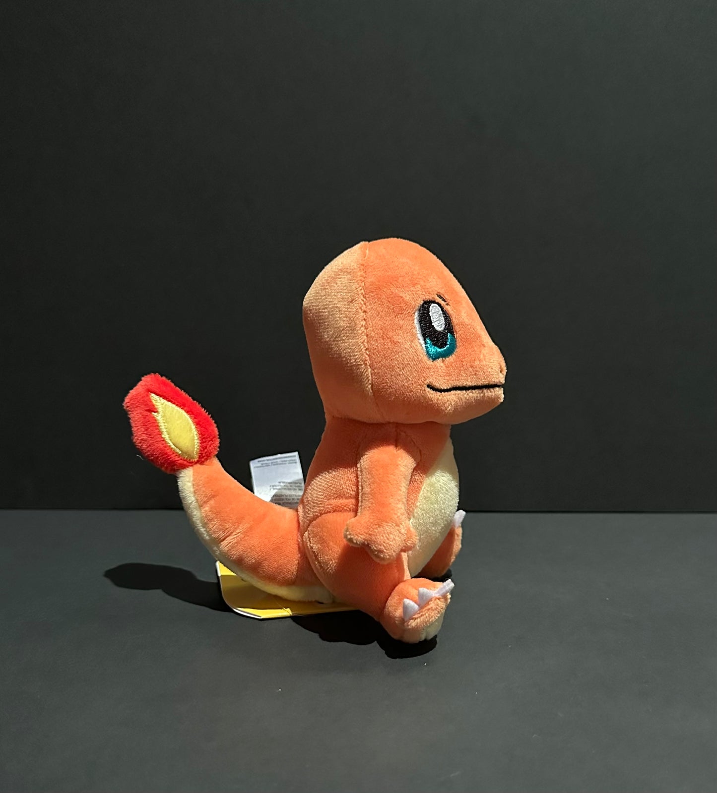 Charmander (Pokemon Fit)