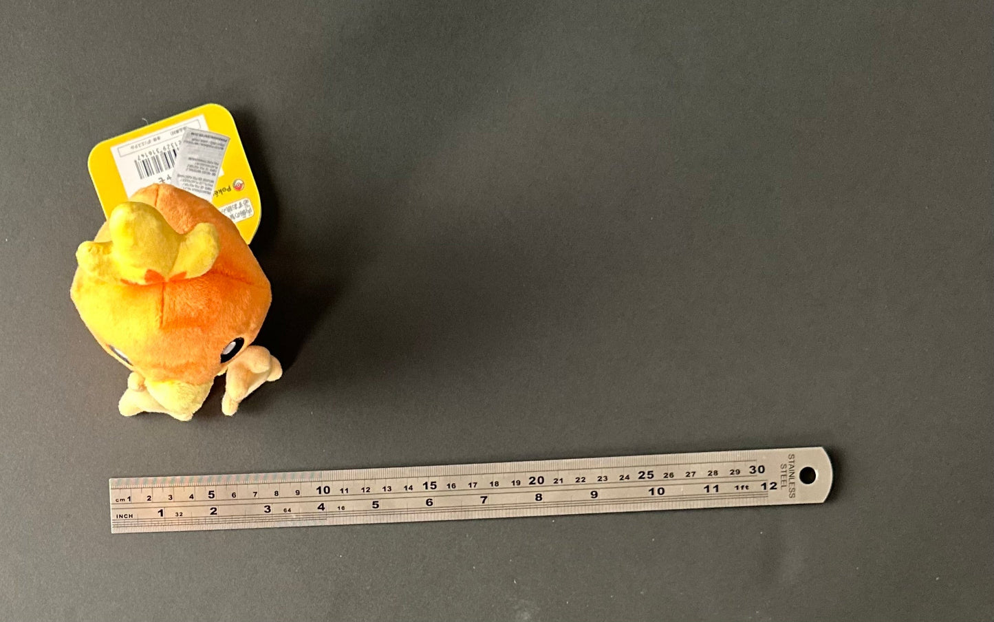 Torchic (Pokémon Fit)